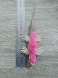 Fisherman's Lizard - 8 Colors